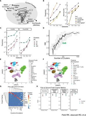 Cyclone: an accessible pipeline to analyze, evaluate, and optimize multiparametric cytometry data